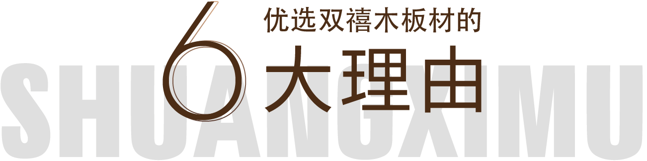 主视觉图